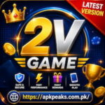 2V Game